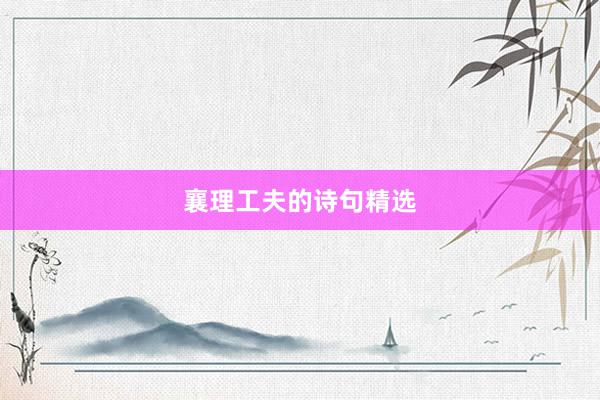 襄理工夫的诗句精选